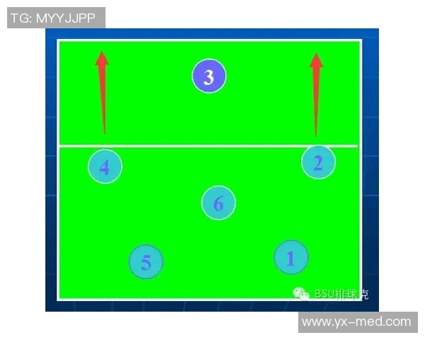 武汉排球队进攻战术解析与实战应用深度分析